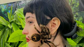 Что делать, если паук заполз в ухо