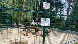 Почти 9 млн рублей выделят Пензенскому зоопарку на содержание животных