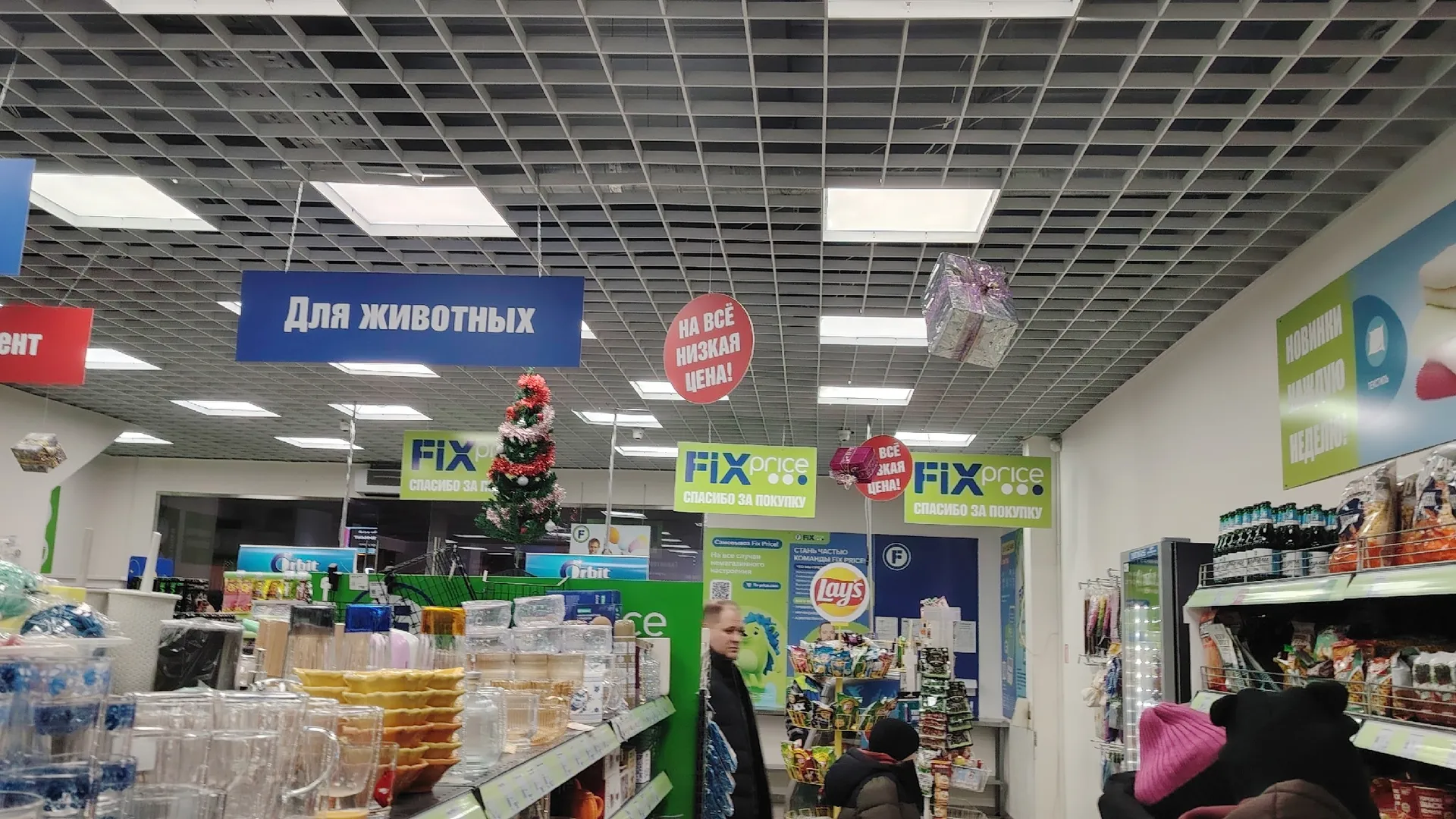 В Светофор по пути с дачи: заехали, потратив 2500 на двоих. Забавные продукты, нужные покупки