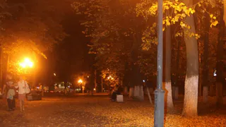 Рязань станет ярче: в следующем году планируется замена городских светильников