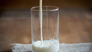 Треть молочных продуктов для рязанских детских лагерей оказалась подделкой