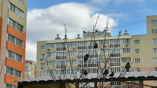 В Пензе столбы линий электропередач угрожают безопасности горожан