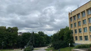 Воздух в Рязани на последней неделе августа местами оказался загрязненным 