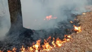 В Рязанской области 8 и 9 сентября сохранится высокая пожарная опасность