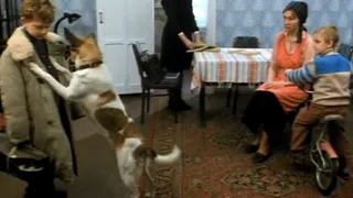 “Всё!”: подборка известных серий из киножурнала “Ералаш”