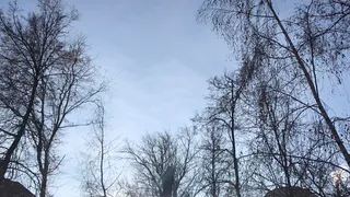 Возможна гололедица: в Гидрометцентре сообщили о резком похолодании