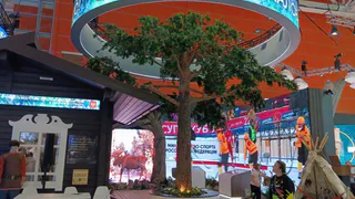 В Москве Коми предстала спортивной республикой