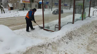 Татарстан потратит 20 миллионов рублей на выдворение мигрантов