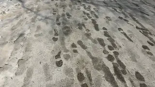 Чувашию на выходных накроет снегом: погода 13 декабря