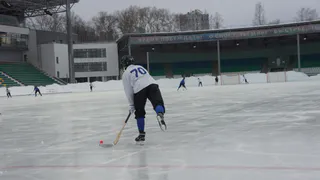 «Металлург» обыграл «Витязь»