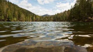 Госархив поделился статистикой: во Владимирской области течет 8500 км рек