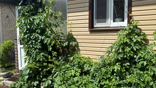 Резиновая крошка своими руками: проложил дорожку, по которой спокойно хожу не только в ливень, но и в гололёд