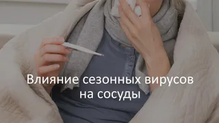 В региональном Роспотребнадзоре рассказали о влиянии вирусов на сердечно-сосудистую систему