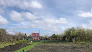 По щепотки в лунку: это дешевое средство превратит почву в чернозем