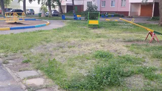 Нижнекамка не довольна своим двором