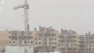 Бастрыкин затребовал доклад по делу о нарушении прав брянских дольщиков