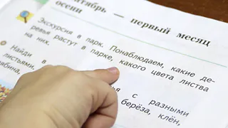 Министр просвещения призвала не нагружать детей в новогодние каникулы