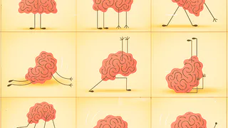 Как питаться, чтобы мозг работал лучше: топ-6 продуктов для ума