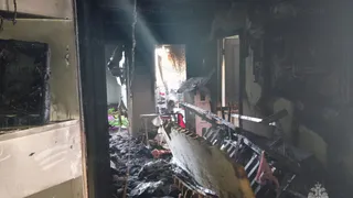 В Чебоксарах пожарные спасли из горящего дома двух детей