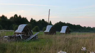 В Коми подходит к концу заготовка кормов для животноводства