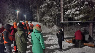 Добровольцы ЛизаАлерт нашли живыми 6 пропавших в Коми за декабрь