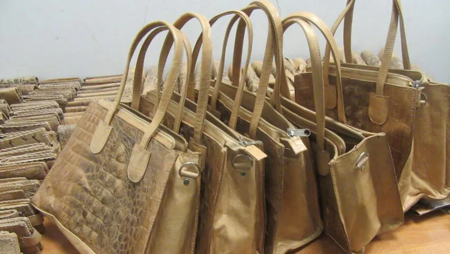 В Казани задержали контрабандиста с партией изделий из кожи редких рептилий