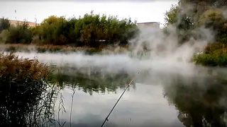 Неизвестные сливают кипяток в Черезовский пруд