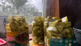 Дешево в готовке, дорого на вкус: огурцы стресс-засола со стола уходят первыми - готовлю каждый сезон