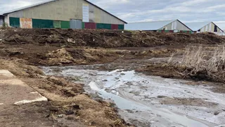 На ферму в Юрьев-Польском районе завели дело по факту массовой гибели рыбы в реке Бакава