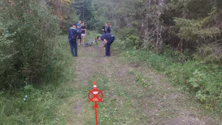 Два ДТП с подростками на мопедах за один день потрясли Коми