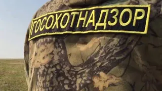 Госохотинспекция Владимирской области опубликовала хронику охотничьего надзора за прошедшие шесть месяцев текущего года