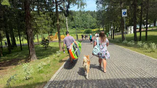 5 фраз, которые выдают высокий интеллект: по ним можно мгновенно распознать реальных гениев