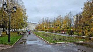 В Чувашии 24 сентября местами ожидаются заморозки до -2°С