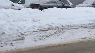 Брянских чиновников накажут за нечищеные дороги