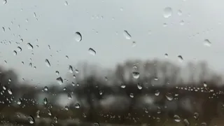 Достаем куртки: в Рязани ожидается похолодание