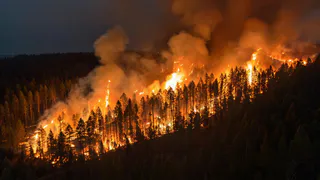 Штормовое предупреждение в Татарстане: объявлен высокий уровень пожарной опасности в лесах