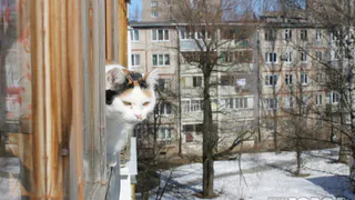 О погоде в Рязани на выходных: в городе потеплеет до +1 градуса