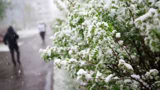 Нас ожидает небывалое похолодание: погода с 1 сентября заставит надет куртки - температура резко упадет вниз