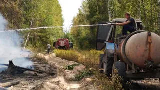 В Кадомском районе ликвидировали лесной пожар