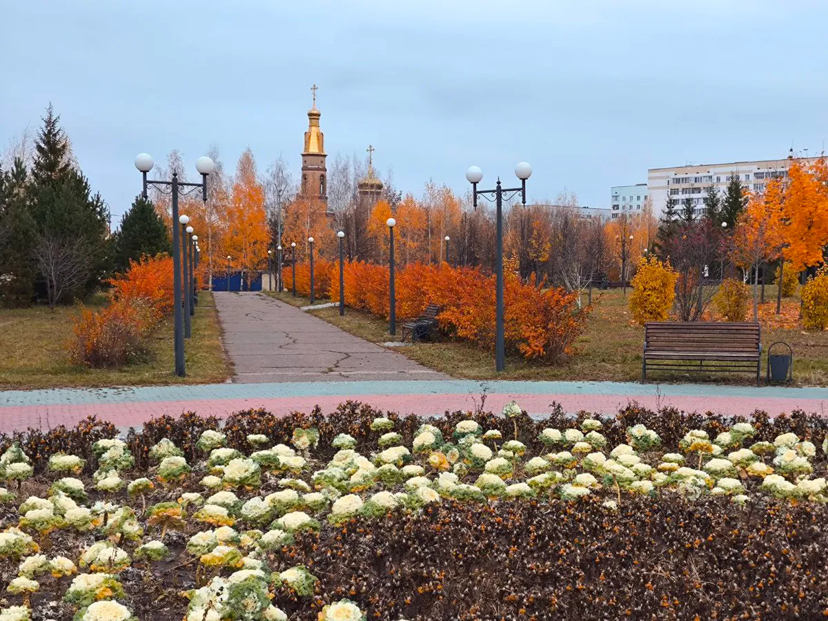 Погода в Нижнекамске на среду, 19 ноября
