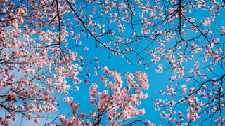 Майские приметы: убирать теплую одежду - к холодам, гроза - к счастью, дождь - к деньгам