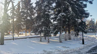 Такой зимы не было 20 лет: синоптики озвучили прогноз на январь — Россию ждет аномальная погода