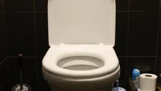 Многие опытные хозяйки воду из бачка унитаза на ночь сливают — и вот почему: нужно всем