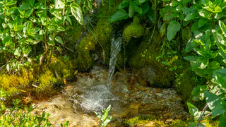 Проект Чувашии по созданию карты родников может стать федеральным