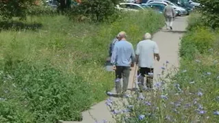 Дендропарк в Дашково-Песочне зарастает мусором