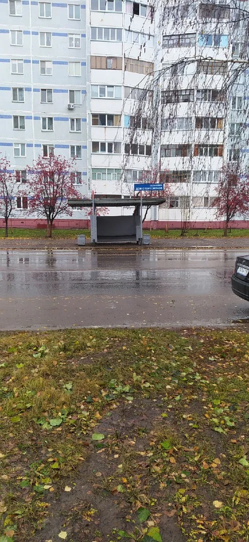 Пешеходки нет, люди дорогу перебегают, остановочный павильон нуждается в ремонте