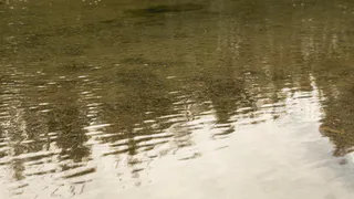 В Копейске паводок: дома затоплены, жители вынуждены снимать квартиры