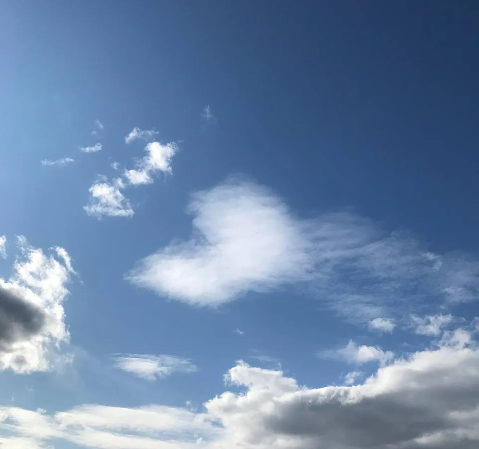 Гороскоп на 24 июня: сосредоточиться на общении и отложить денежные дела