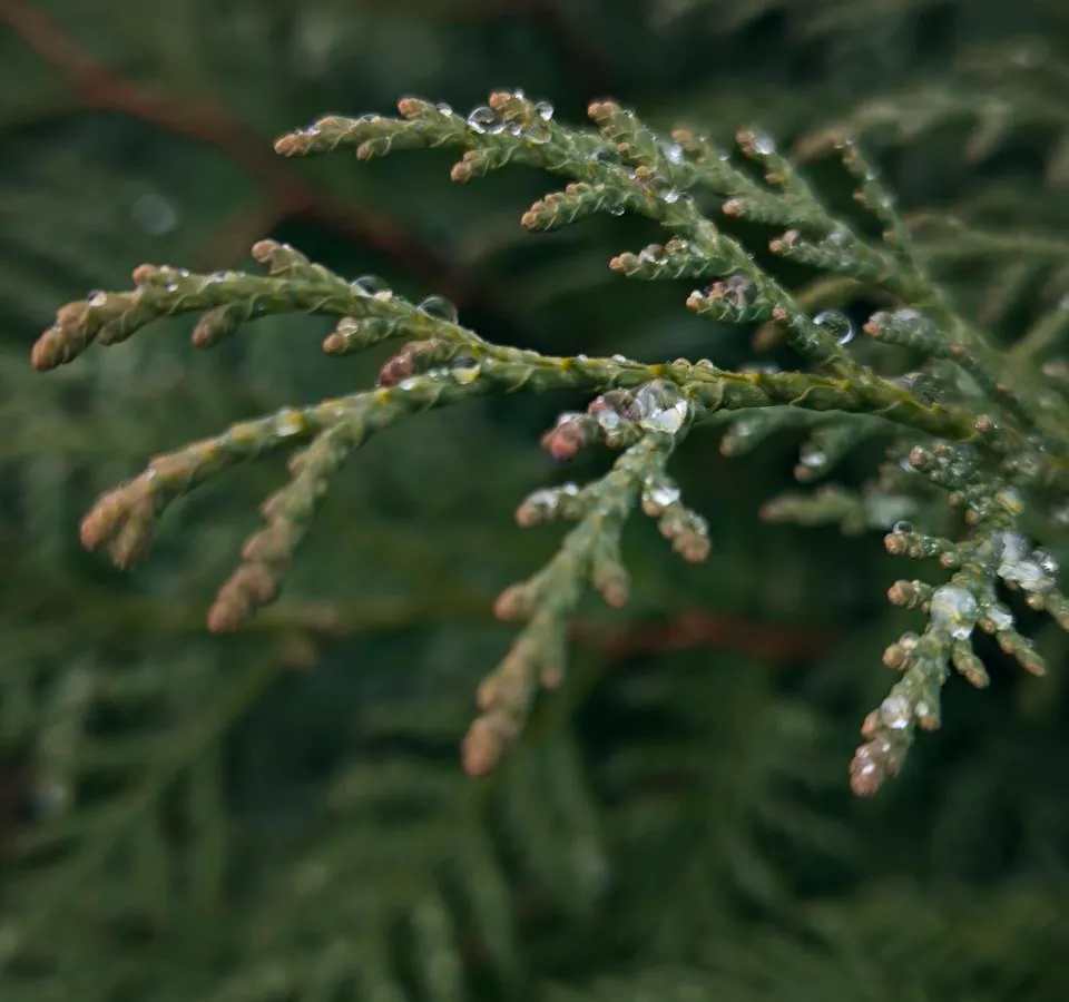 Погода в Нижнекамске на субботу, 8 ноября