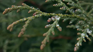 Погода в Нижнекамске на субботу, 8 ноября